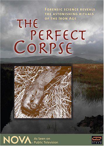 Nova The Perfect Corpse DVD 品