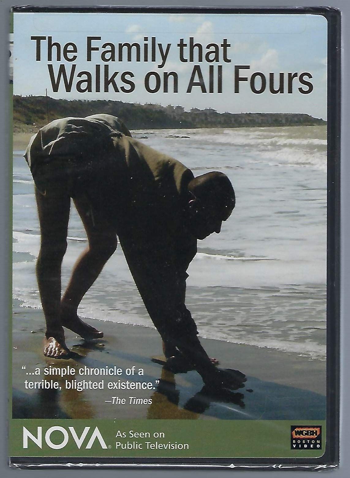 Nova Family That Walks on All Fours DVD 品