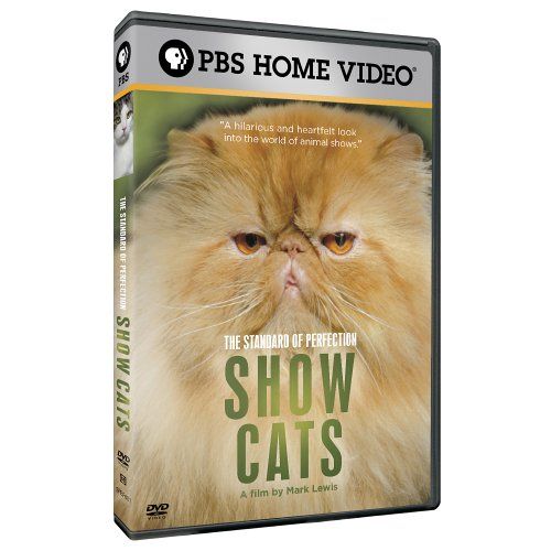 The Standard of Perfection Show Cats DVD 品