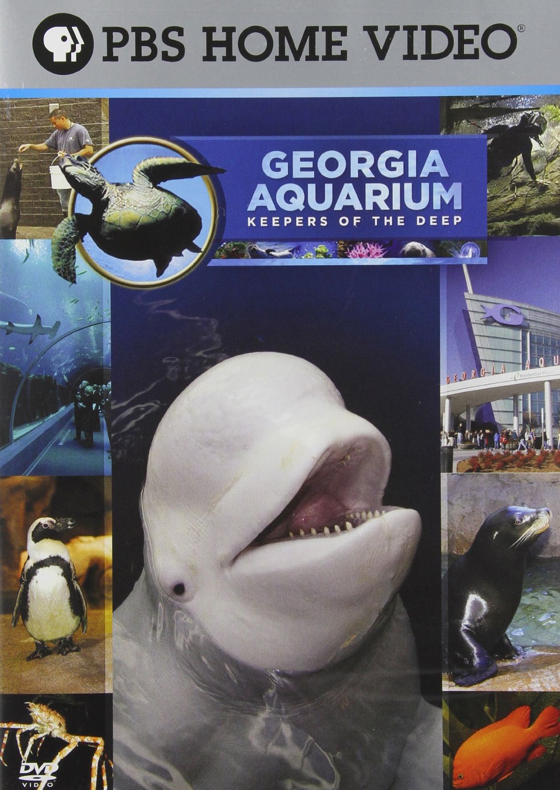 Georgia Aquarium DVD 品