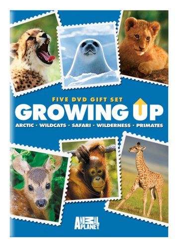 Growing Up Gift Pack DVD 品