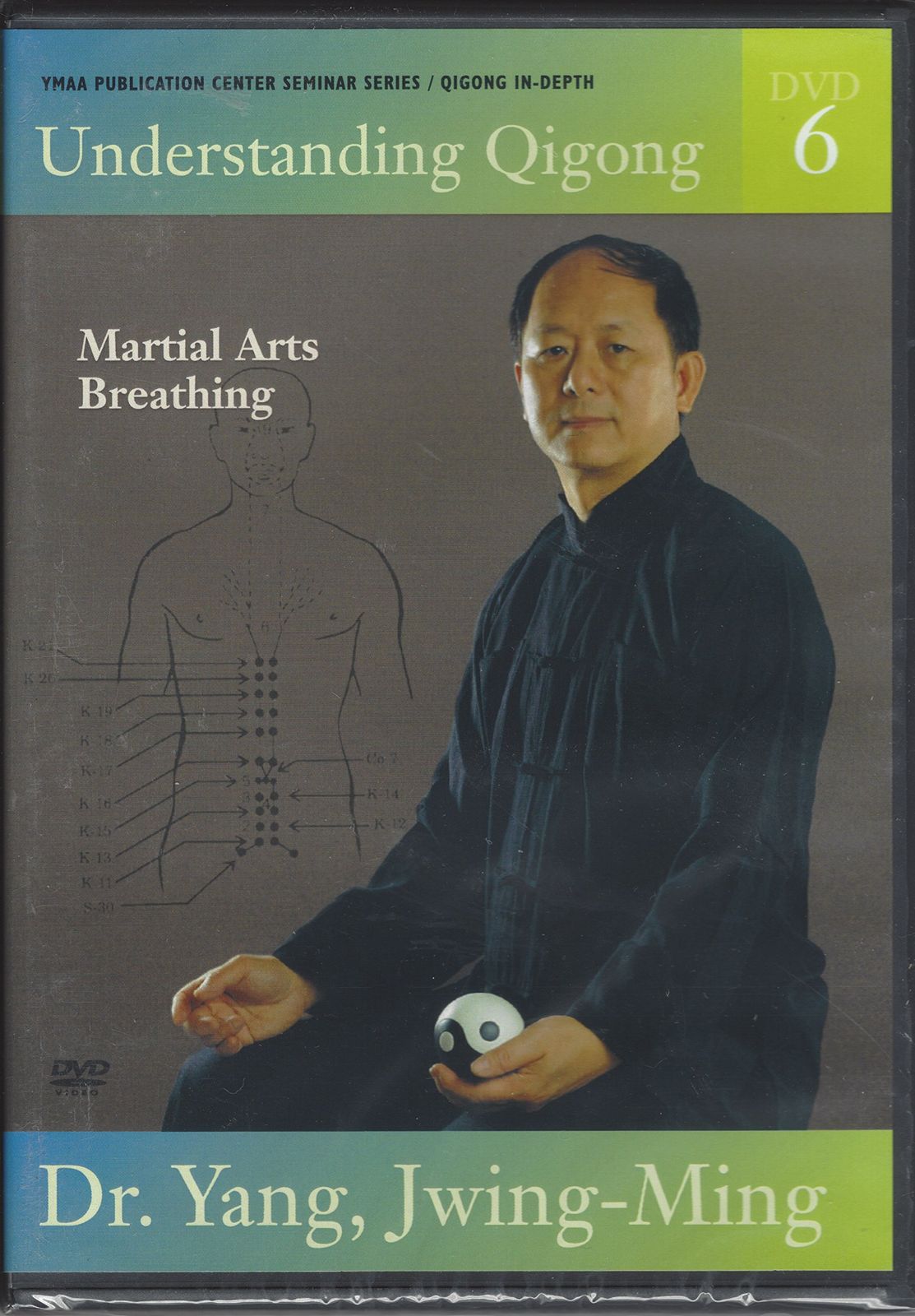 Understanding Qigong 6 DVD 品