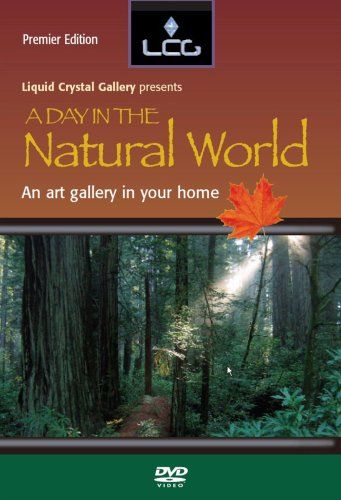 Day in the Natural World DVD 品