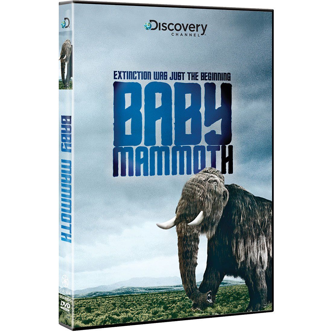 Baby Mammoth Raising the DVD 品