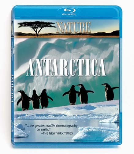 Nature Antartica Blu-ray 品