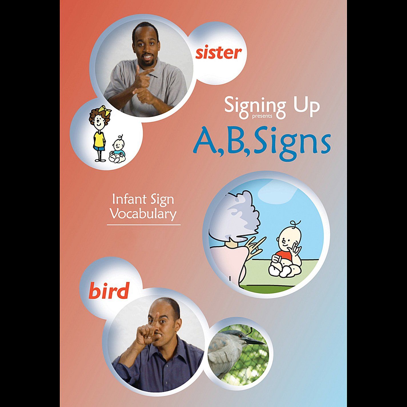 A-B Signs Infant Sign Vocabulary DVD 品