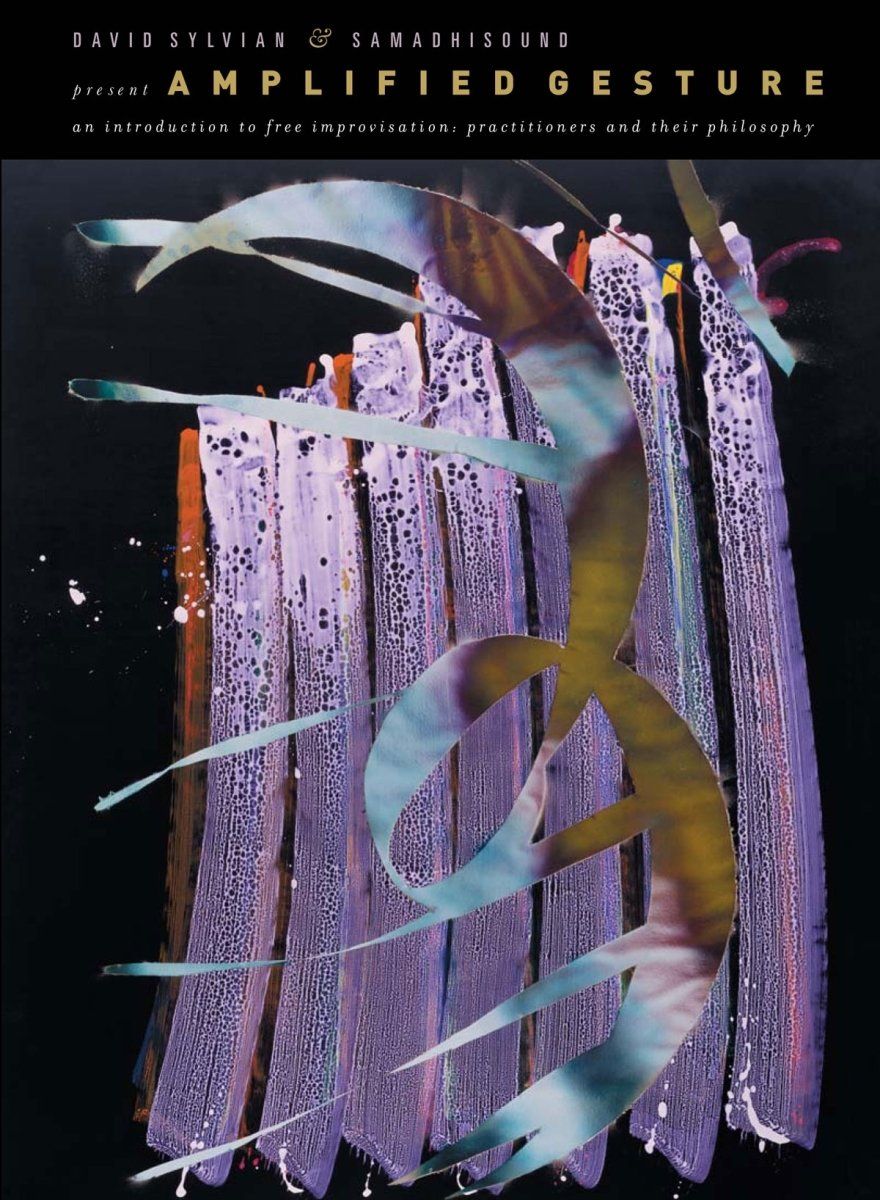 Amplified Gesture DVD 品