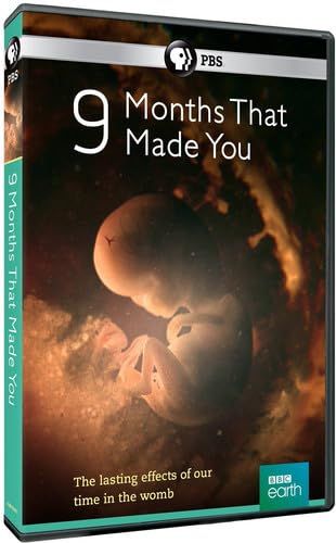 9 Months That Made You DVD Import 品