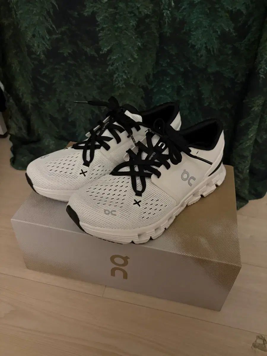 オンラニング クラウド X 4 250 10分신음