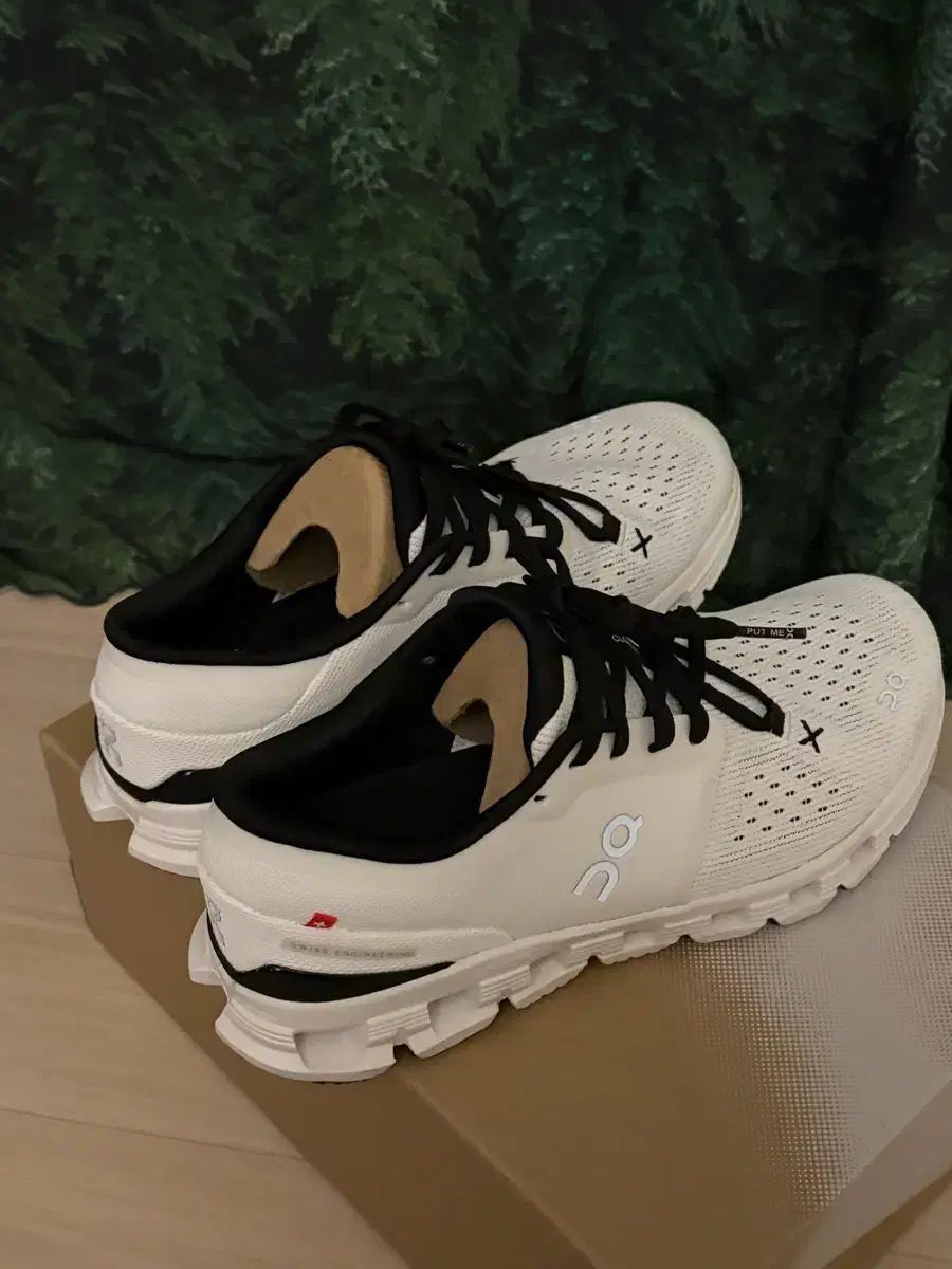 オンラニング クラウド X 4 250 10分신음