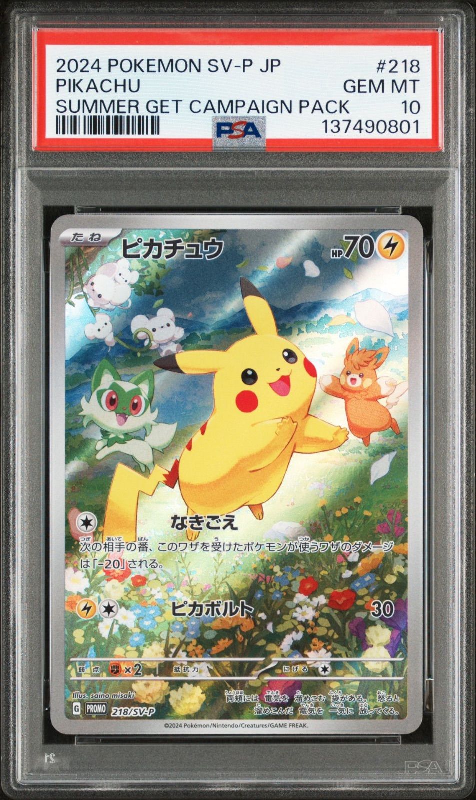 ピカチュウ ポケカの夏がキタ！プロモカードGetキャンペーン
