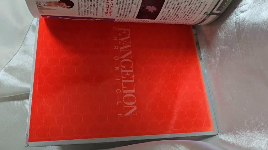 エヴァンゲリオン