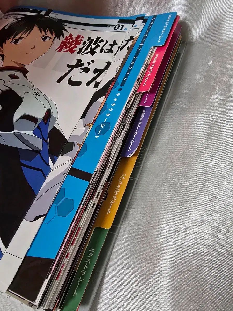 エヴァンゲリオン CHRONICLE 雑誌 バインダー