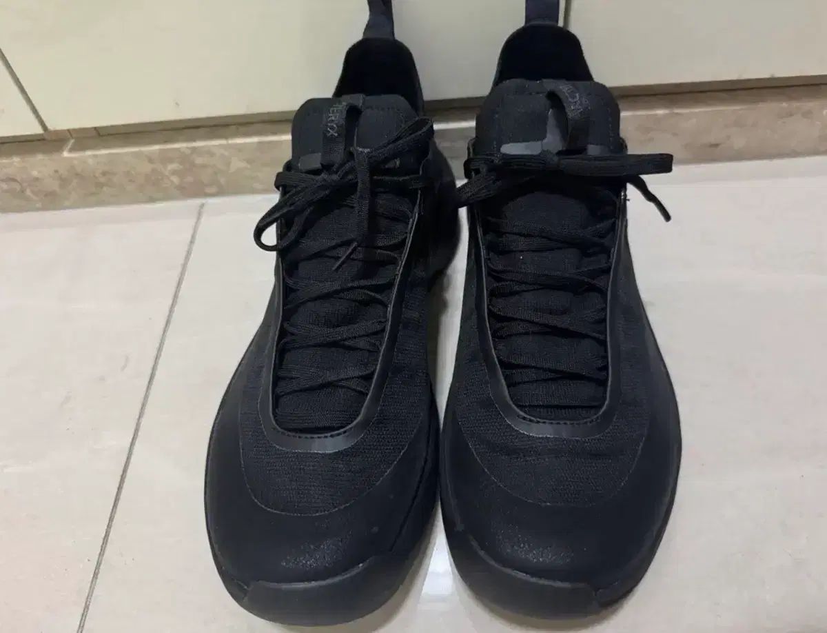 アークテリクス アルパイン 270 ゴアテックス gtx