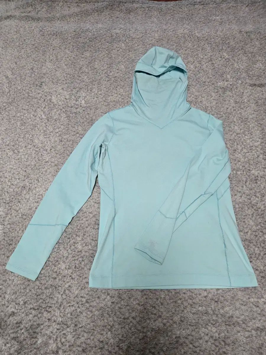 ARC TERYX アークテリクス ローフーディー レディース