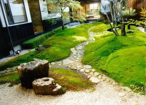 ハイゴケ・40×30cmサイズ - メルカリ