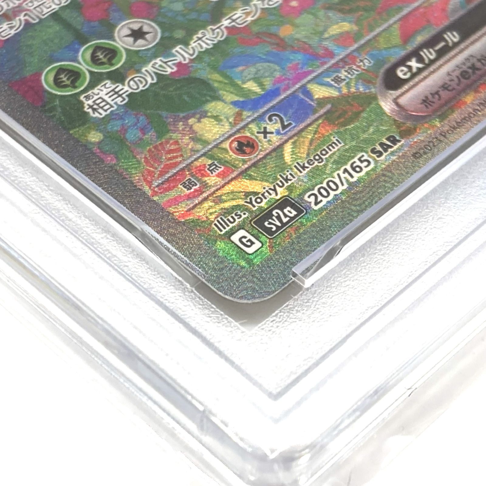 フシギバナex SAR