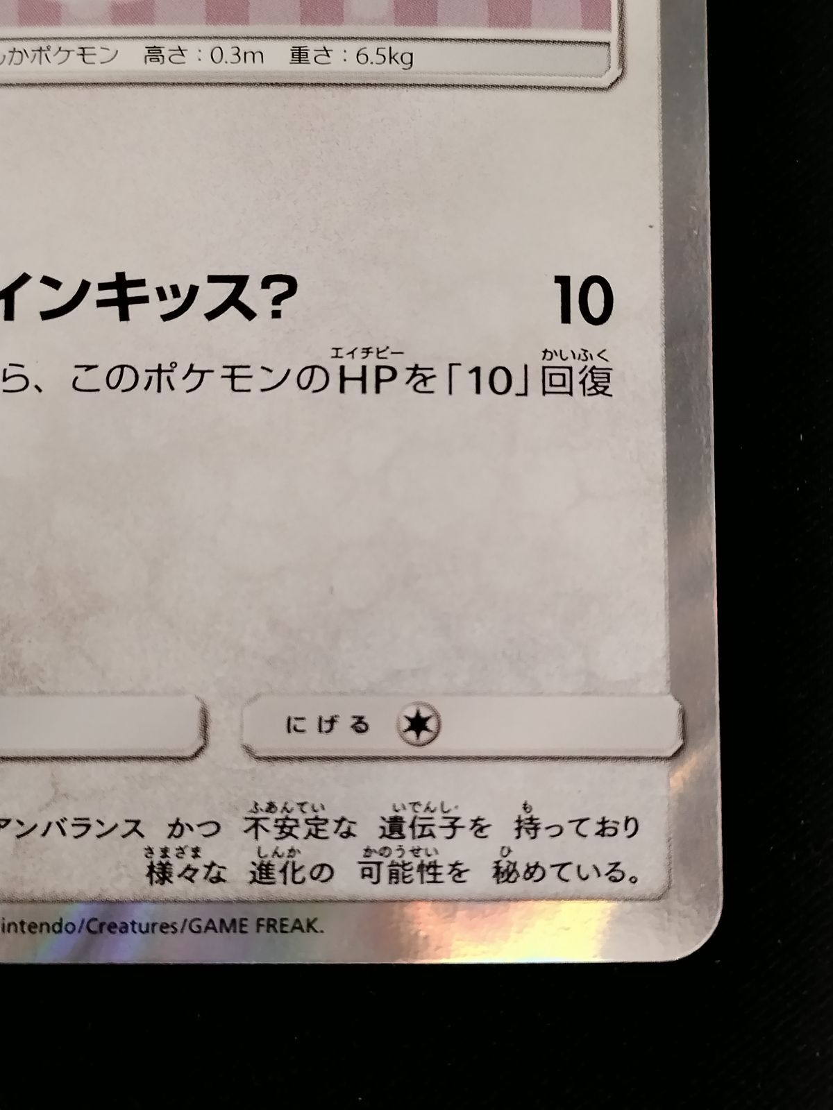 ポンチョを着たイーブイ ニンフィア