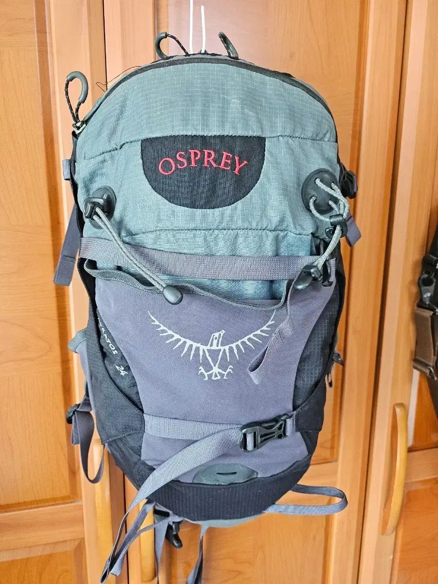 オスプレイ OSPREY Stratos 24 등산 リュック グレー