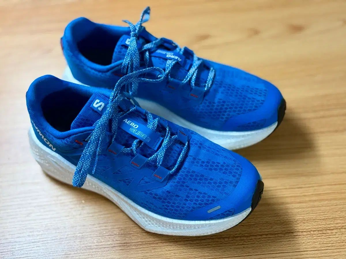 サロモン エアロ グライド 3 265