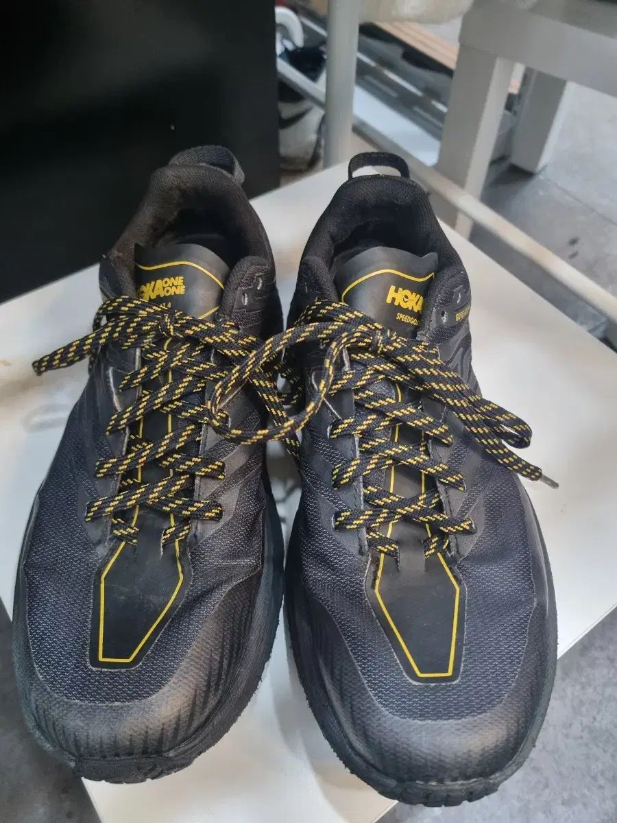 HOKA ホカ ゴアテックス 表記 260