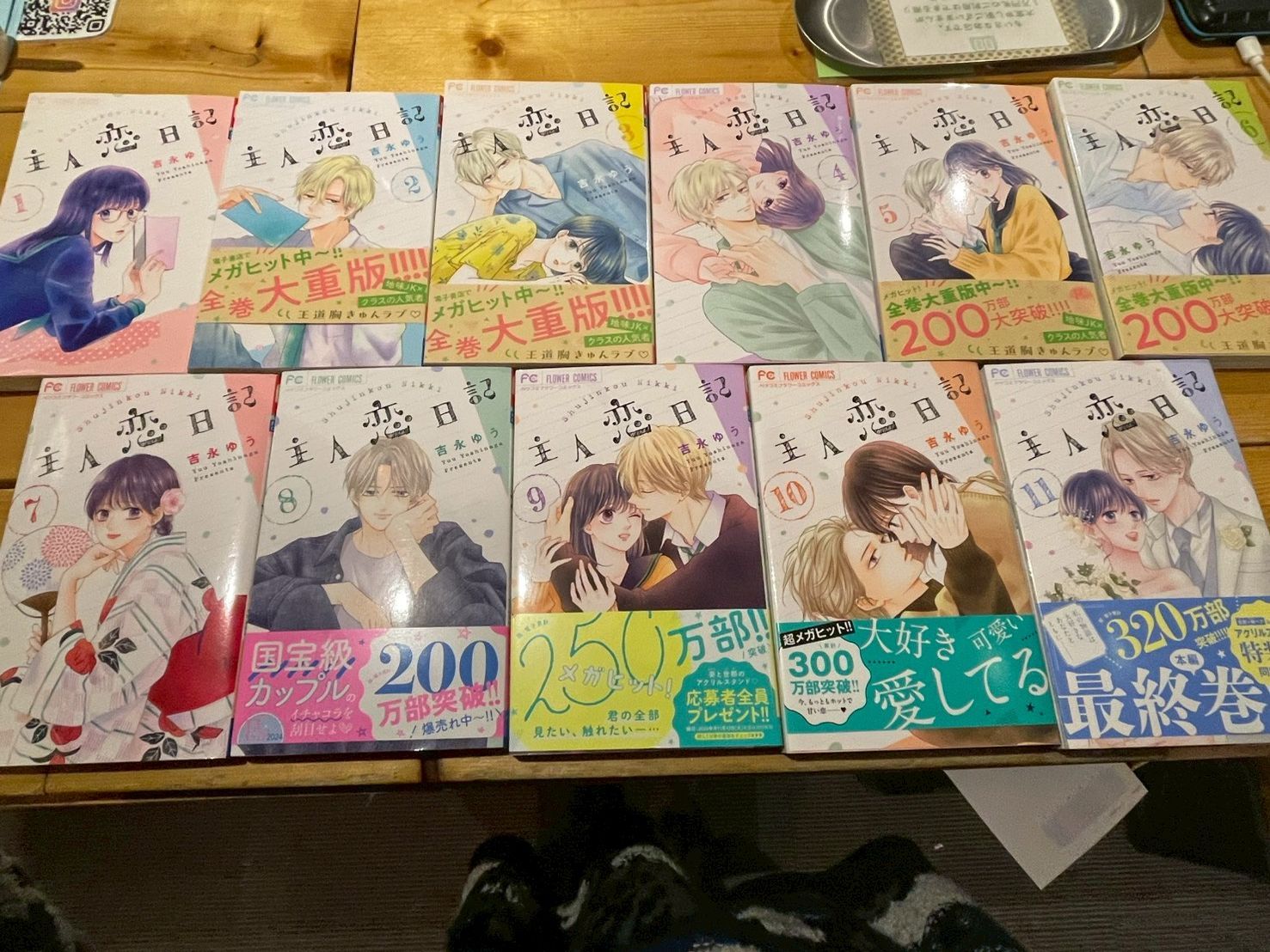 品質保証，得価 主人恋日記 1-11巻セット ※12巻無し