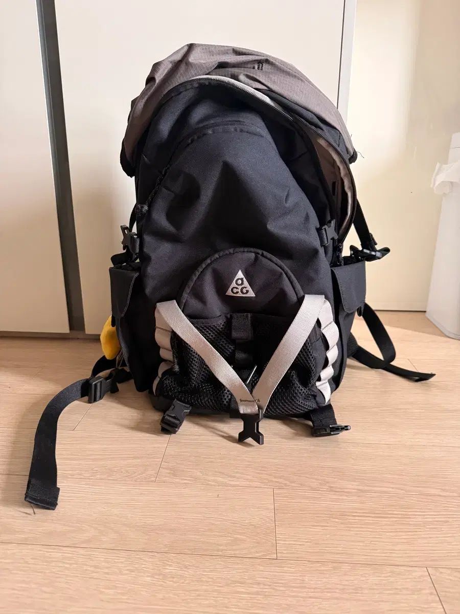 ナイキ ACG デイマックス 25 L バックパック