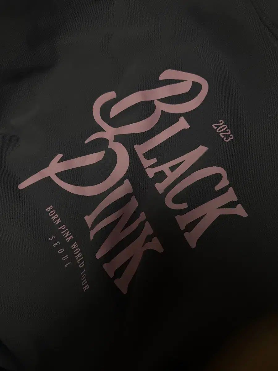 2025 ワールドツアー ジップアップ フーディー チャコール グッズ