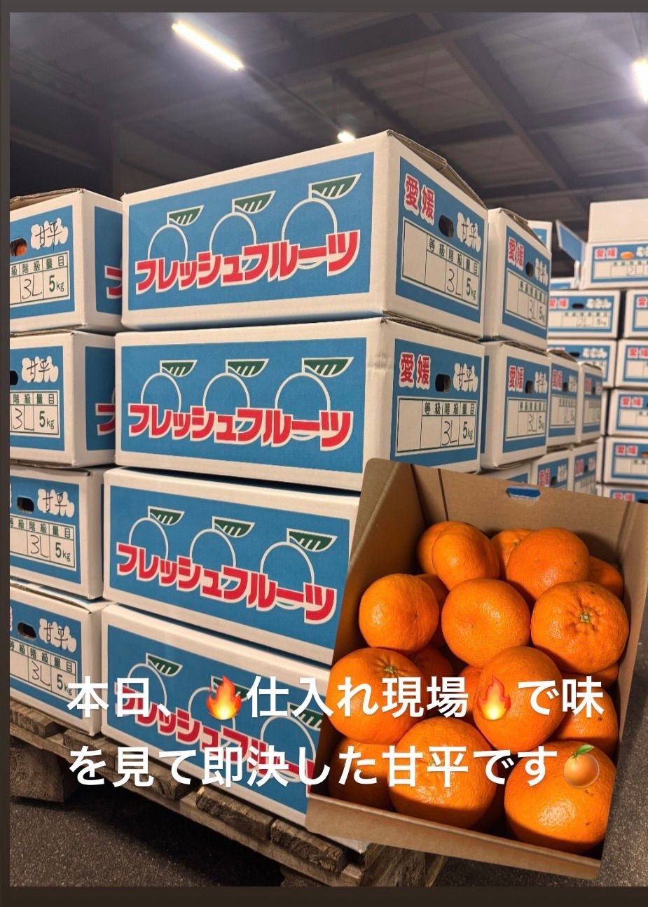 レコード 【SEALED】Aaron Dee - Gettin Trife, Koco収録
