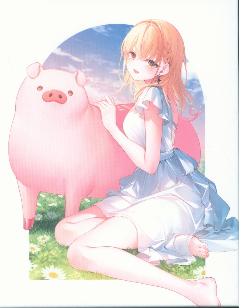 アニメDVD 豚のレバーは加熱しろ 完全生産 版 全6巻 セット