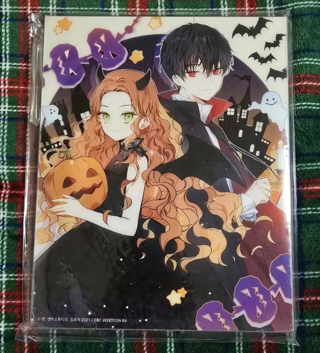 カカフェ ロマンス ファンタジー ウェブトゥーン イガジュ 今回は家主になります グッズ アークス 額縁 3