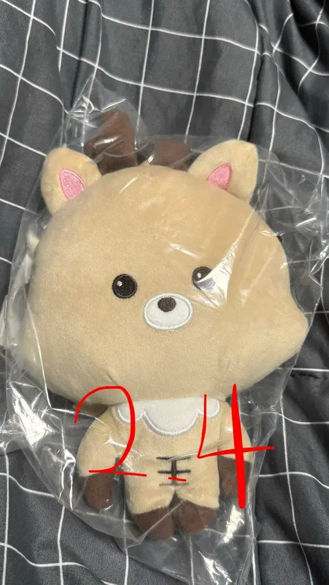 ウラク밤 コインケース