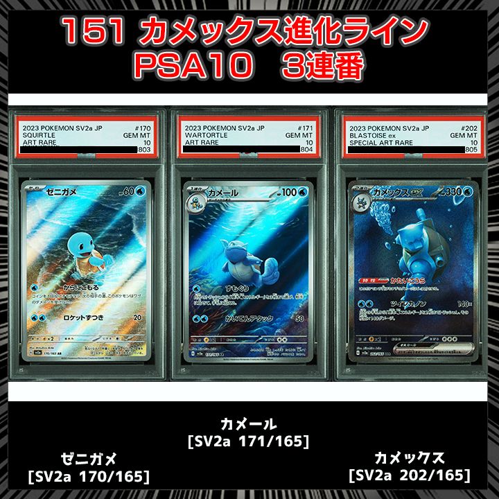 カメックス系列　バラ売り可能 PSA10】 『ゼニガメ AR[SV2a 170/165]』 『カメール AR[SV2a 171/165