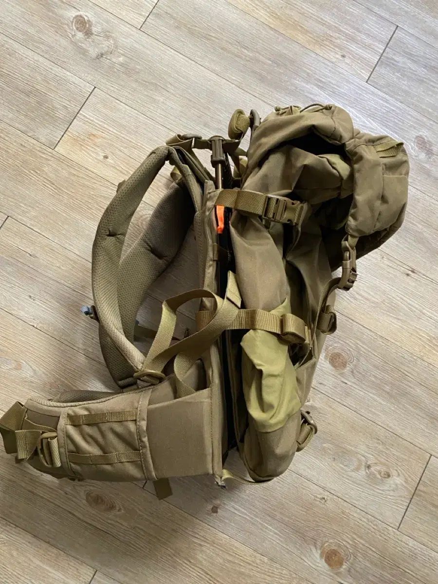 ミステリーレン チポップアップ