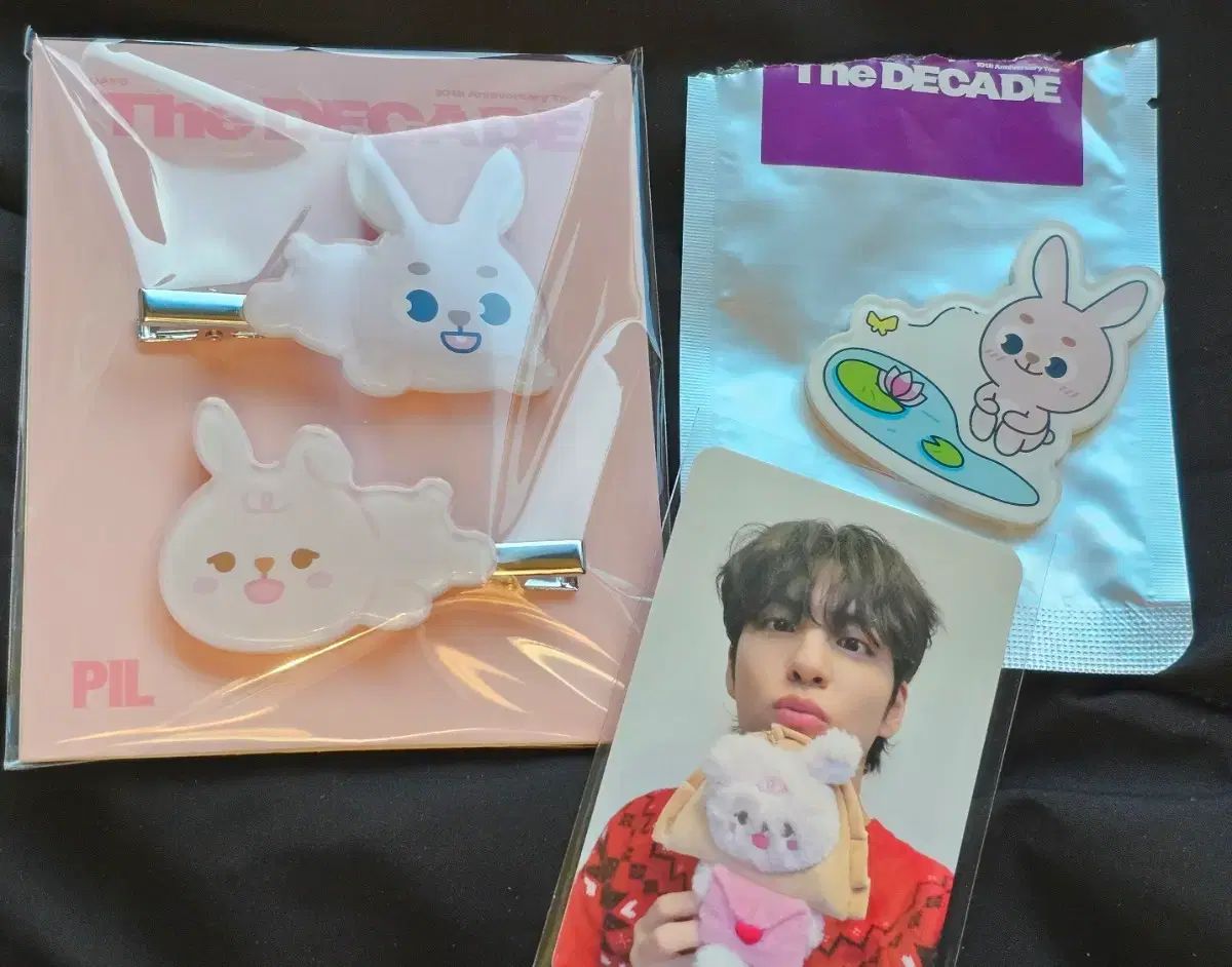 DAY 6 大邱コンサート ヘアクリップ マグネット 40 000ウォン トレカ ウォンピル WONPIL