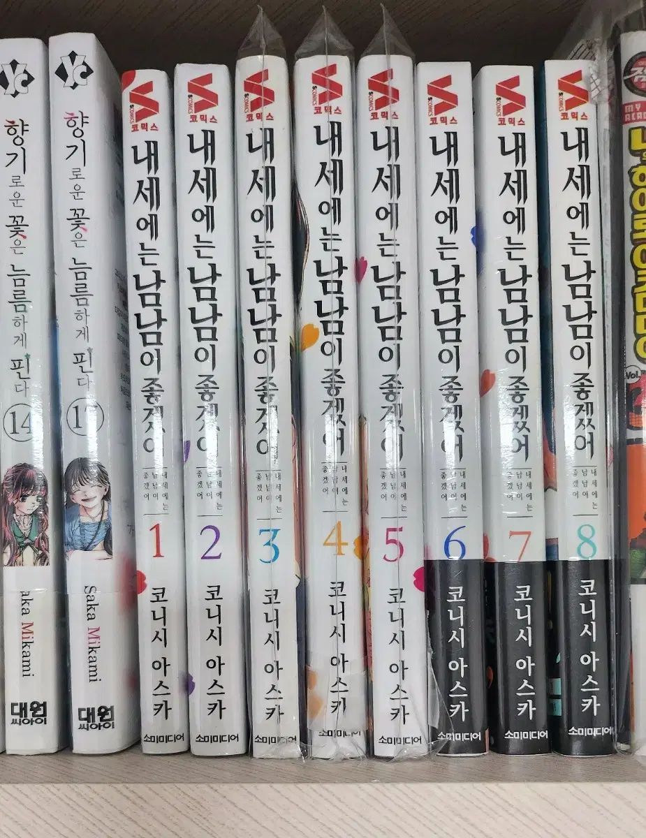 初回版 未開封 まとめ ) 来世には 