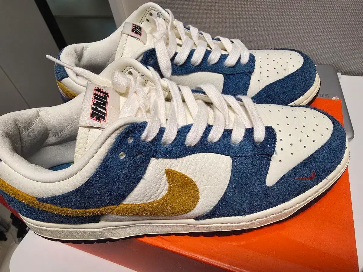 ナイキ ダンク Kasina(カシナ)