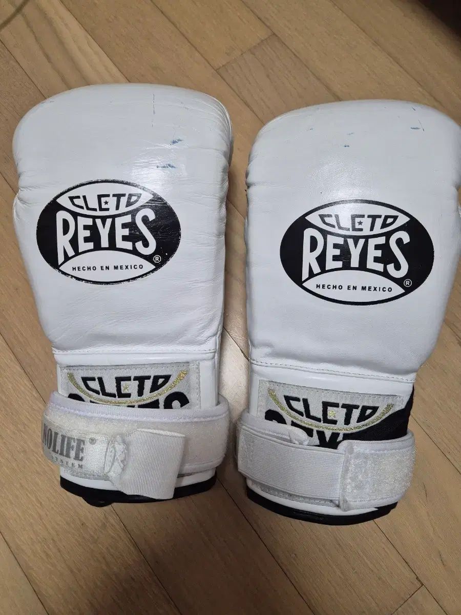 レイジェス セイフテック 10oz ボクシング グローブ - メルカリ