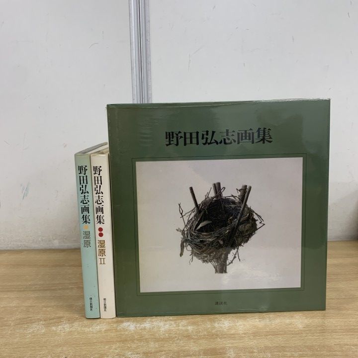 △01)【1点限り!】野田弘志画集 3冊セット/湿原/野田弘志/講談社/朝日
