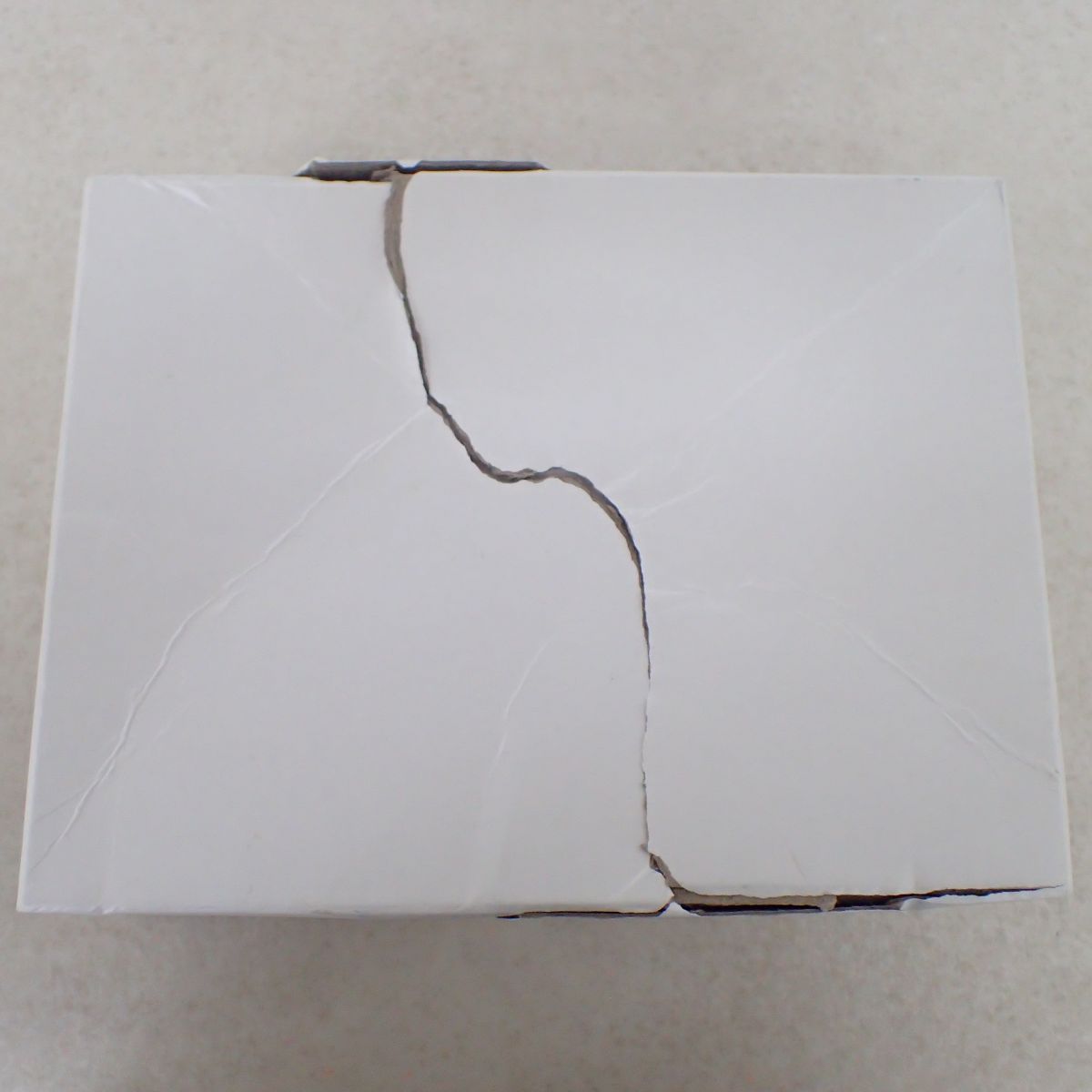 ペアピカチュウ Precious