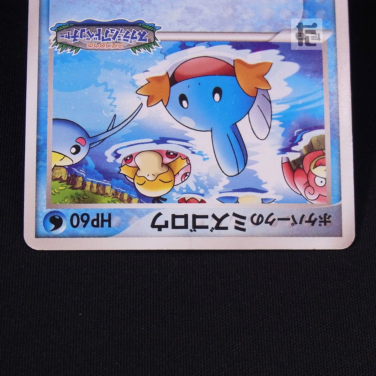 PROMO ポケパークのミズゴロウ 048/PCG-P / TA24189 - メルカリ