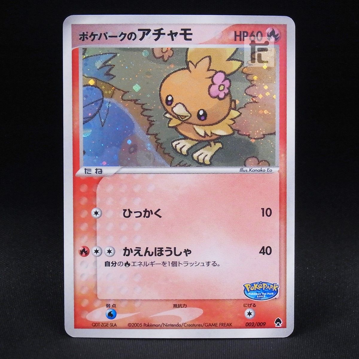 ポケパークのアチャモ 002 009 TA 24192