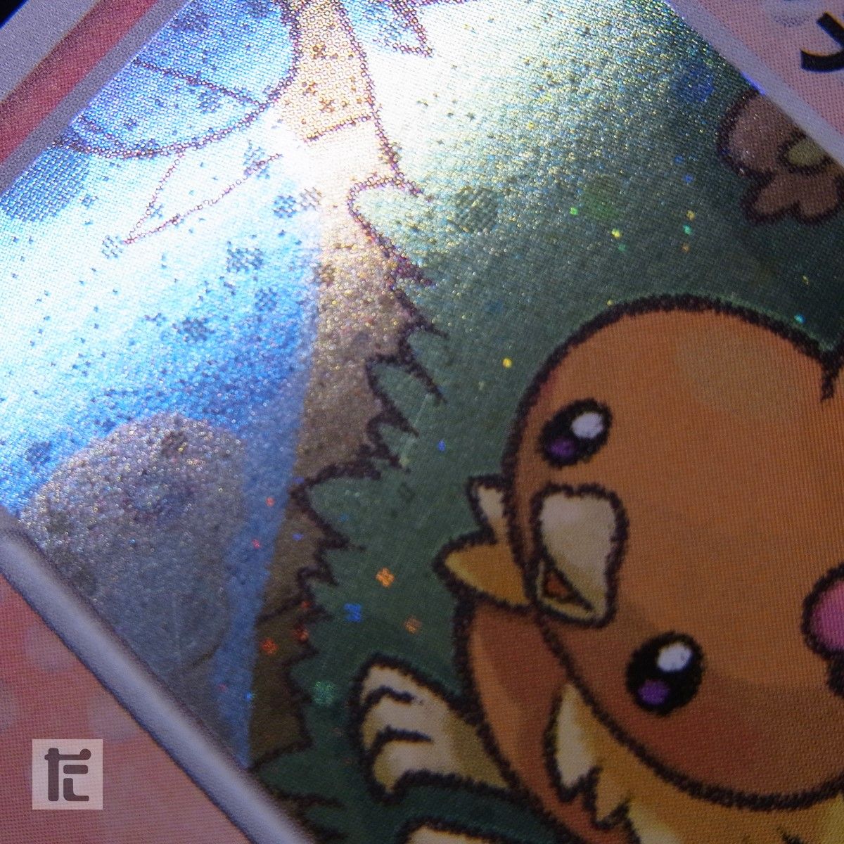 ポケパークのアチャモ