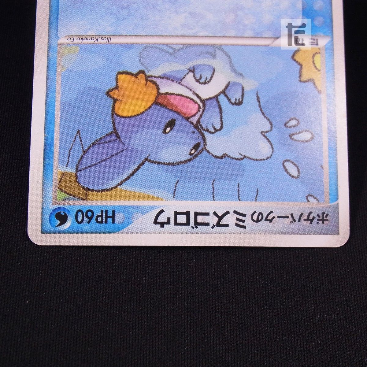  ポケパークのミズゴロウ 003 009 TA 24195 ポケモンカードゲーム トレーディングカード