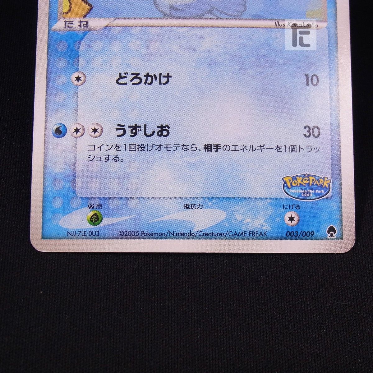 ポケパークのミズゴロウ