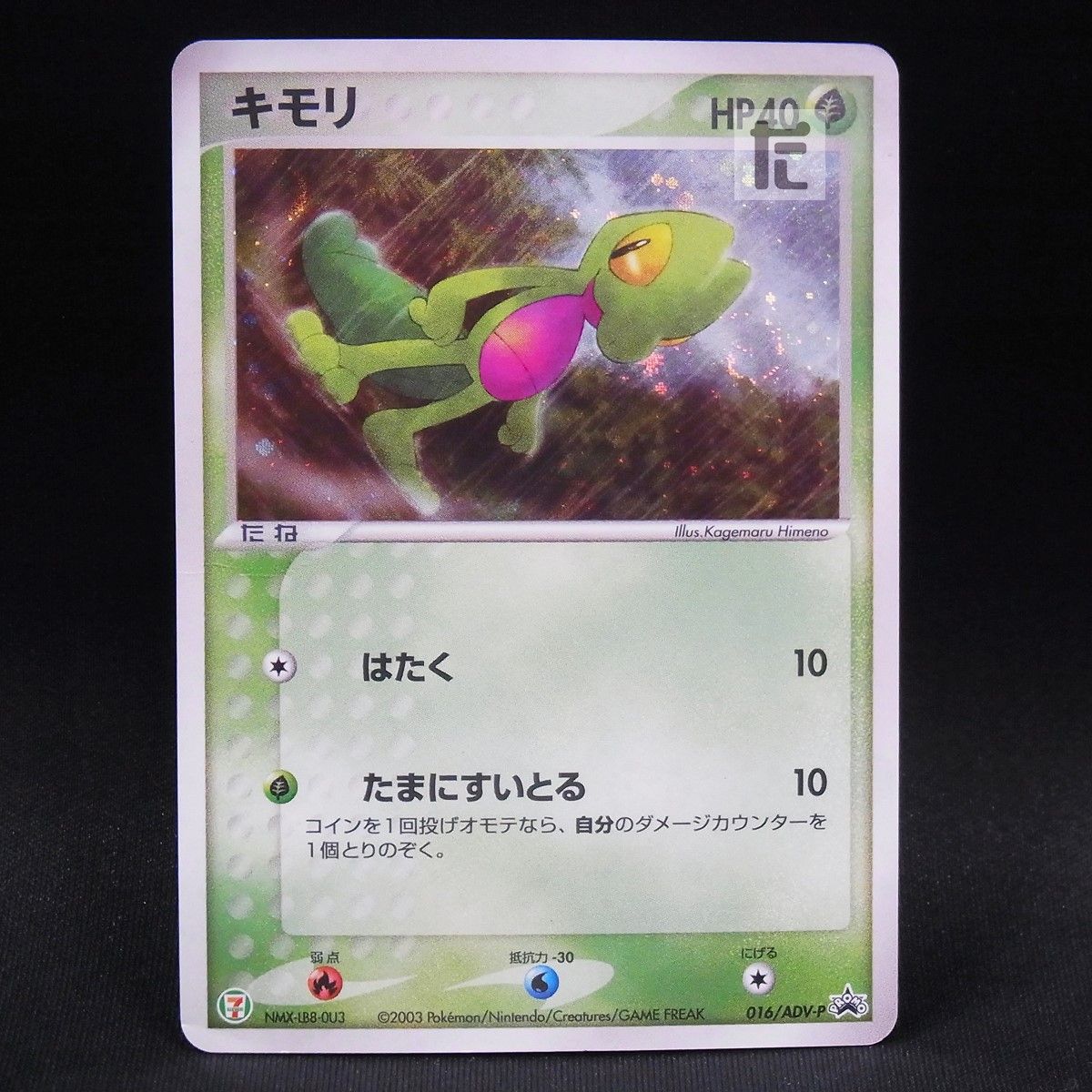 PROMO キモリ 016/ADV-P / TA24198 - メルカリ