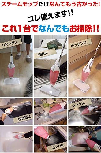 迅速に発送 ハイブリッドスチームクリーナー ブラック 次世代型スチームモップ ハンディ スタンド スチーム掃除機 除菌＆掃除 f 9 846 fe