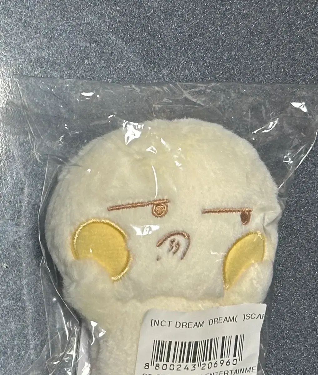 NCT エヌシーティー ドリーム チソン JISUNG フンチパン