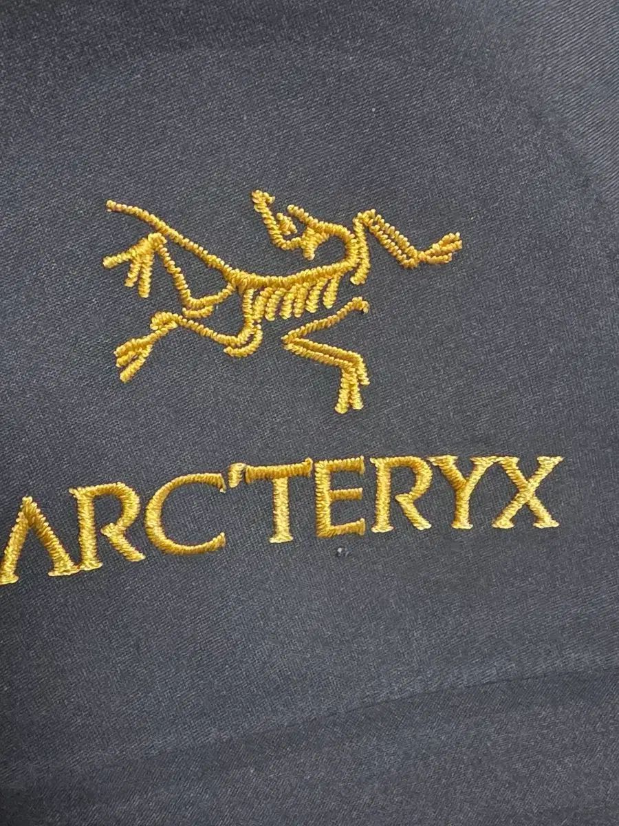  アークテリクス アルファSV 24 k XXL その他 アウター