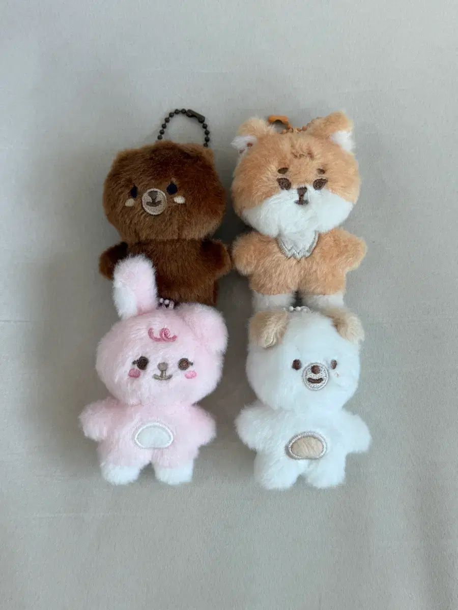 DAY 6 デイシックス プチデニマルズ DENIMALZ プチマルズ 방케필돈 まとめ